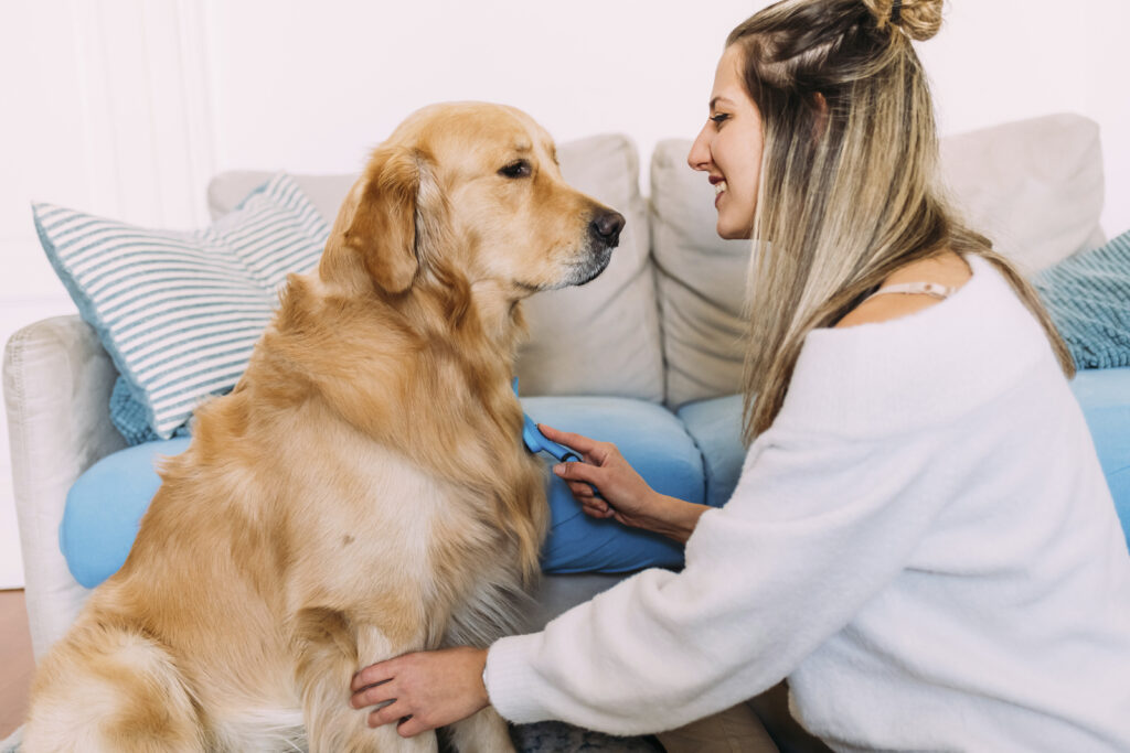 how to keep your dog happy